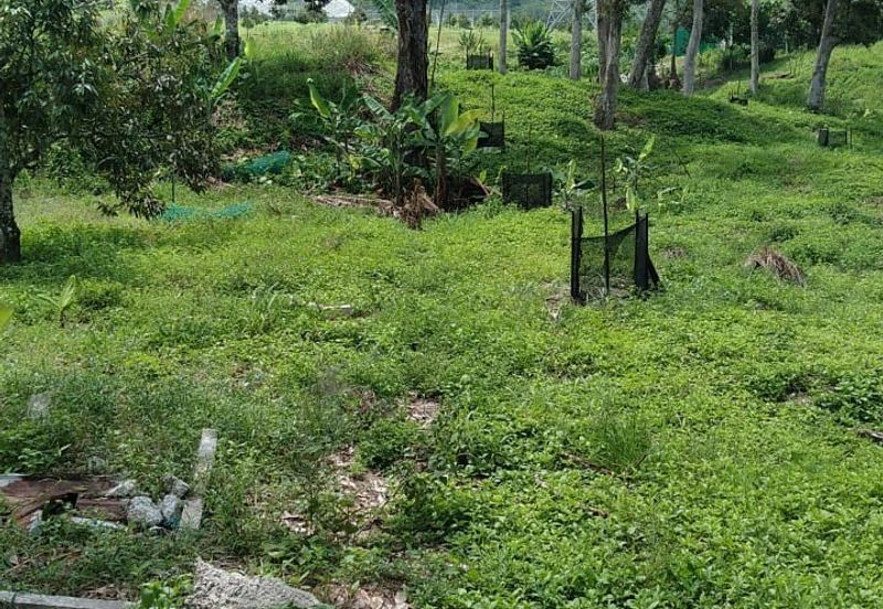 Beranang Industrial Park