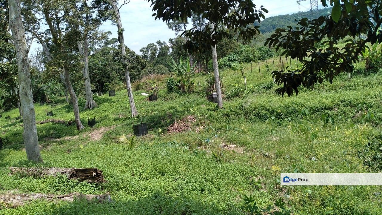 Semenyih Broga Agriculture Freehold Land , Selangor, Semenyih
