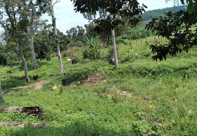 Beranang Industrial Park