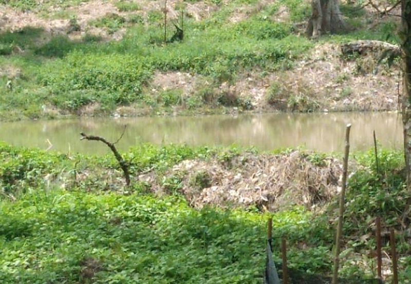 Beranang Industrial Park