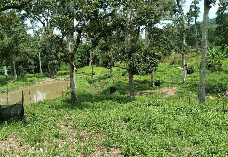 Beranang Industrial Park