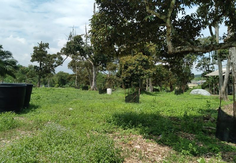 Beranang Industrial Park