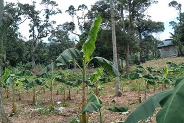 Beranang Industrial Park