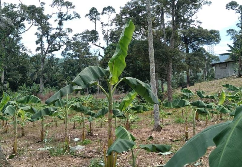 Beranang Industrial Park