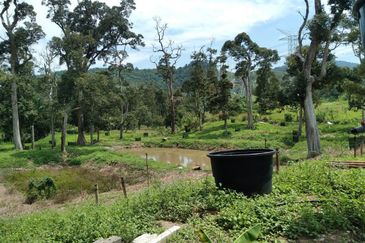 Beranang Industrial Park