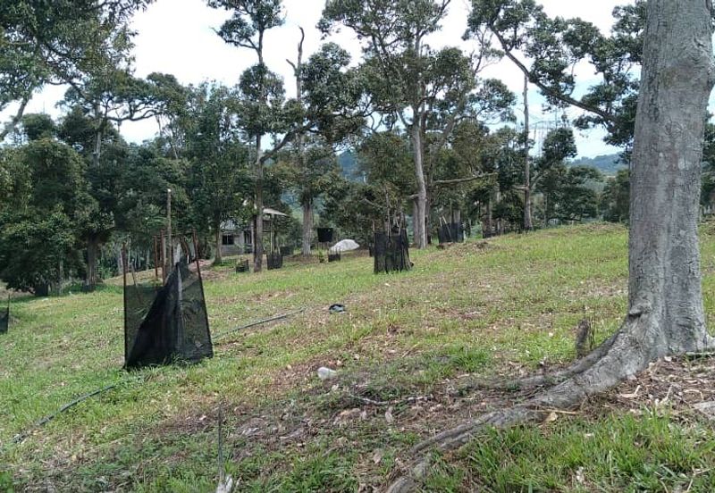 Beranang Industrial Park