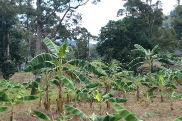 Beranang Industrial Park