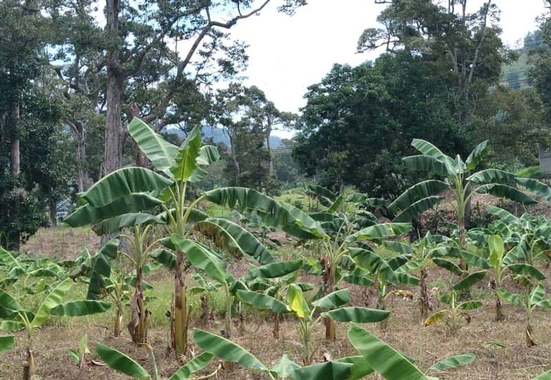 Beranang Industrial Park