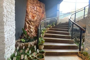 Face Main Road Detached Bungalow Shop Klcc Bukit Bintang