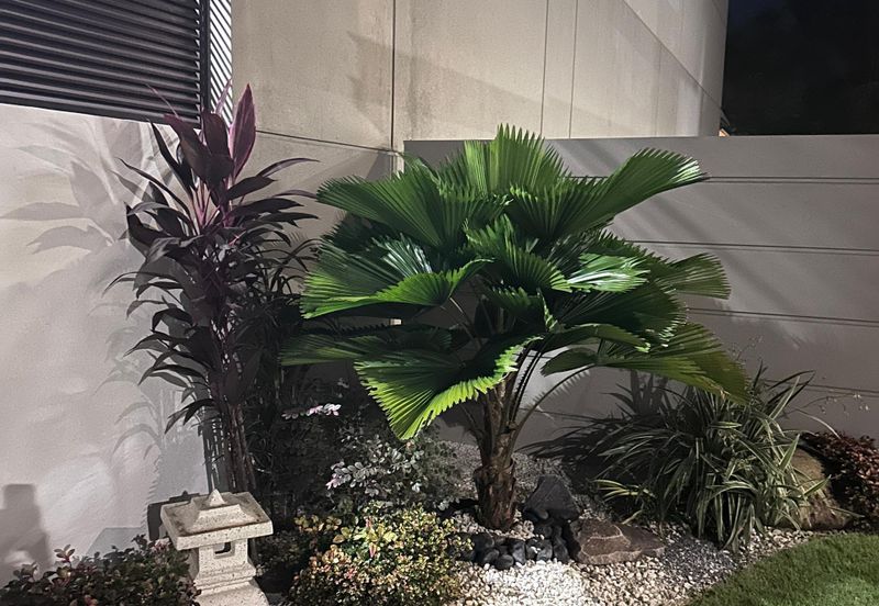 Dalia Residences @ Tropicana Aman