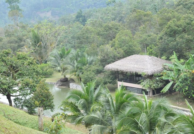 48 Acres Land 1500 Durian Musang King Bungalow Raub Pahang