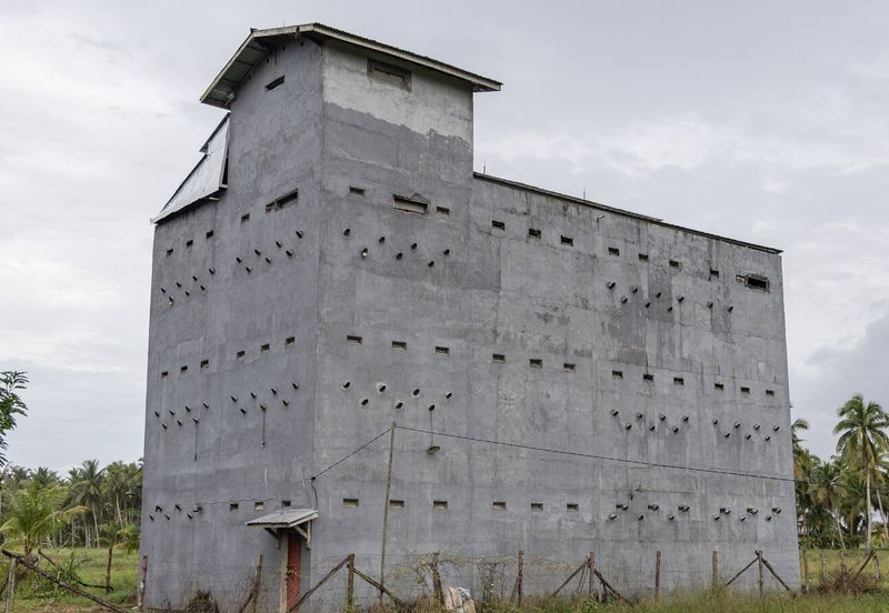 94 Acres Freehold Durian Farm land at Padang Tengku Town Pahang