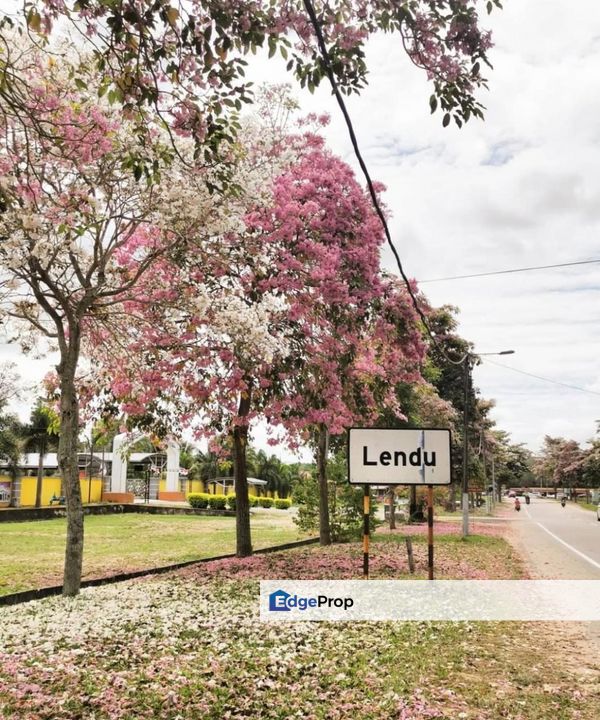 26 Acres Freehold Rubber Trees Land, 2 Resorts, Melaka Lendu Town, Melaka, Melaka Raya