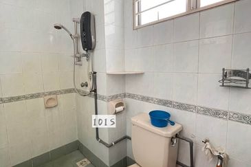 Anggerik Doritis @ Kota Kemuning