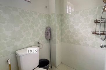 Anggerik Doritis @ Kota Kemuning