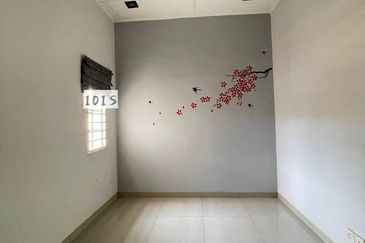 Anggerik Doritis @ Kota Kemuning