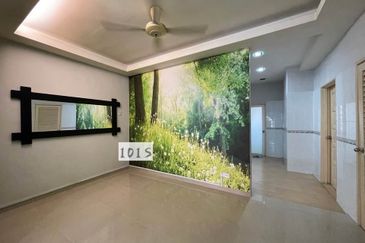 Anggerik Doritis @ Kota Kemuning