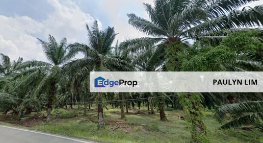 Prime Location Commercial Zone Agriculture land Kampung Bukit Kapar For Sale, Selangor, Kapar 