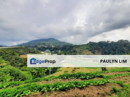 40 Acres Cameron Highland Land For Sale, Pahang, Cameron Highlands