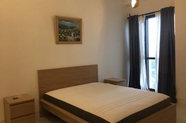 Arnica @ Tropicana Gardens