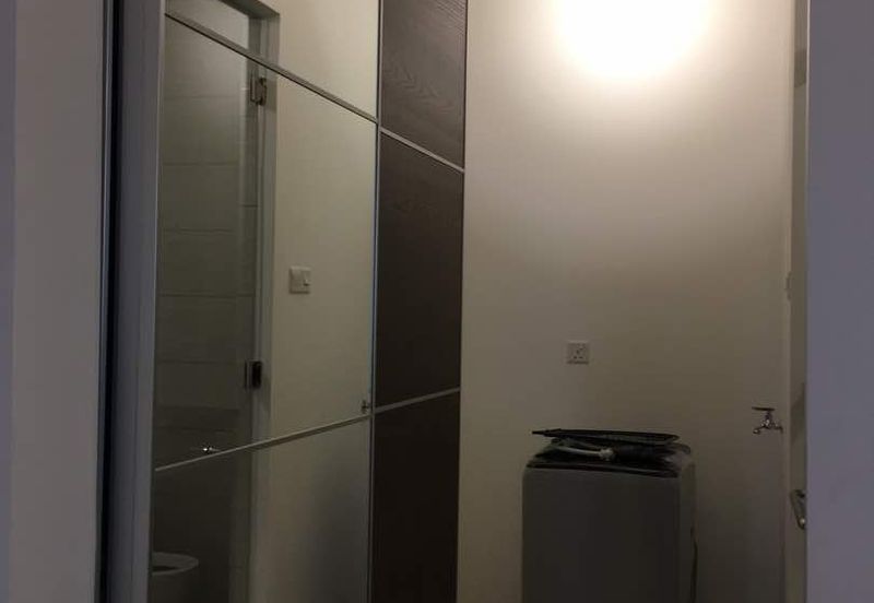 Arnica @ Tropicana Gardens