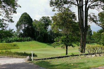 The Lotus of The Mines