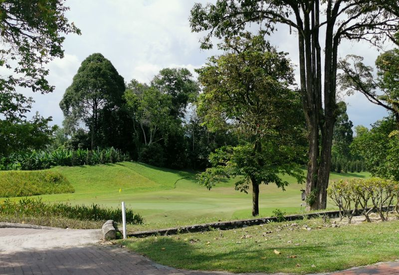 The Lotus of The Mines