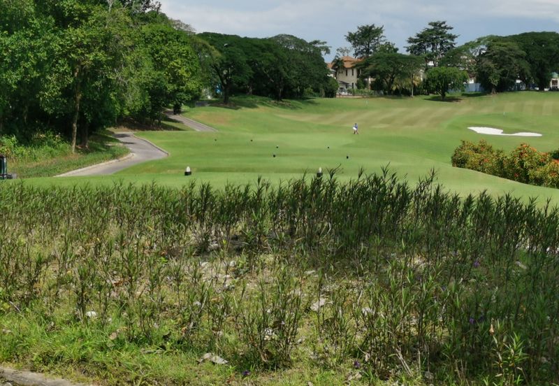 The Lotus of The Mines