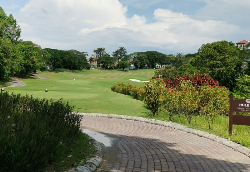 The Lotus of The Mines