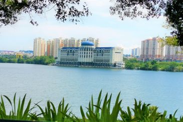 The Lotus of The Mines