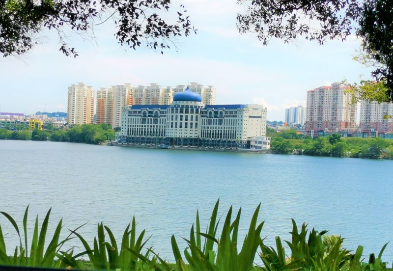 The Lotus of The Mines