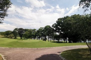 The Lotus of The Mines