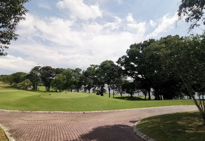 The Lotus of The Mines