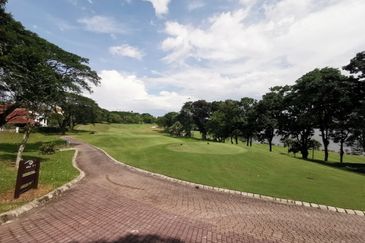 The Lotus of The Mines