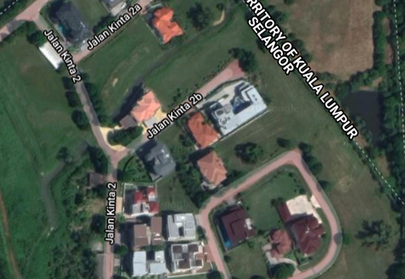 The Lotus of The Mines