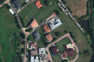 The Lotus of The Mines