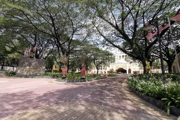 The Lotus of The Mines