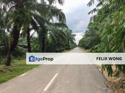 SUPER CHEAP! Agricultural Land Zoned for Industrial Used For Sale, Jenjarom , Selangor, Jenjarom