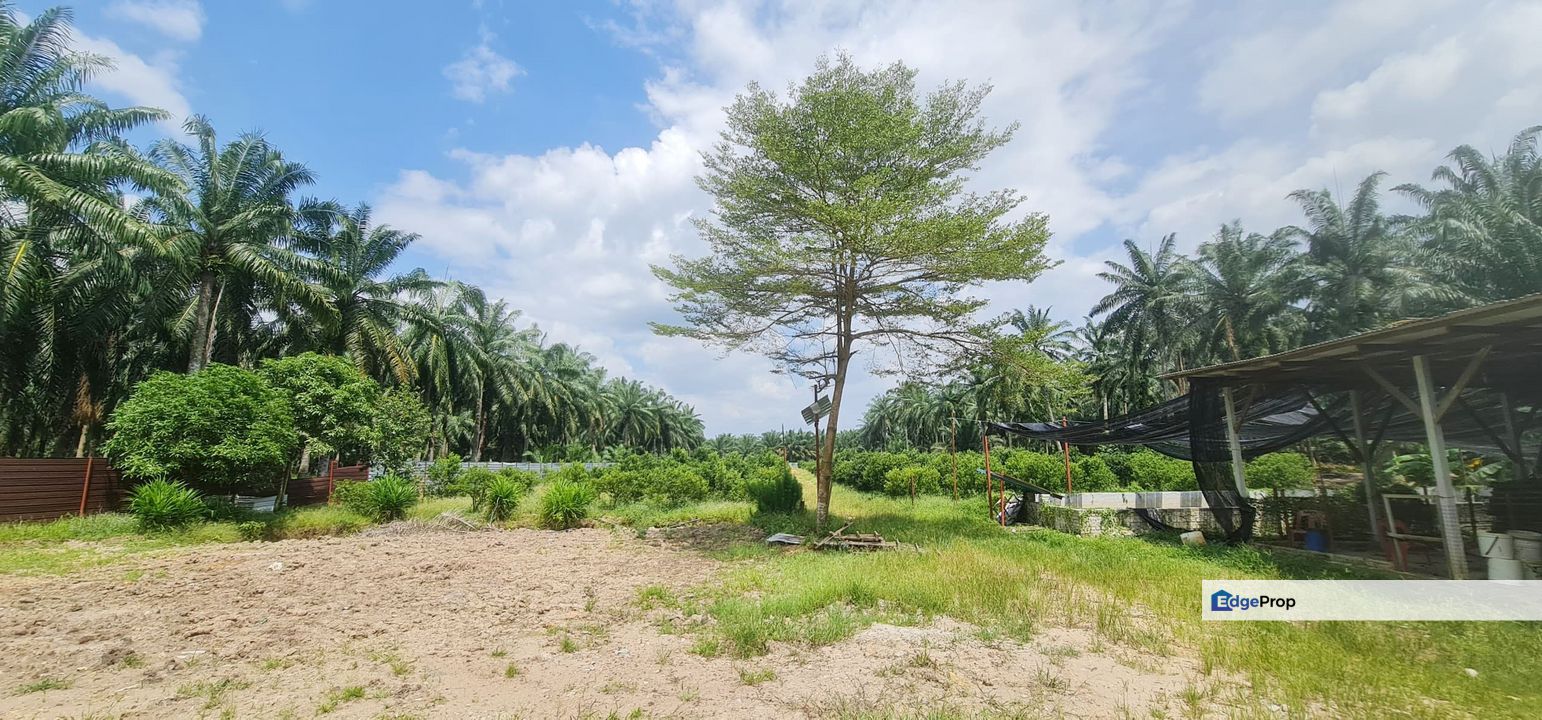 Industrial Land Ljok, Bandar Batu Arang Land ,Selangor, Selangor, Kuala Selangor