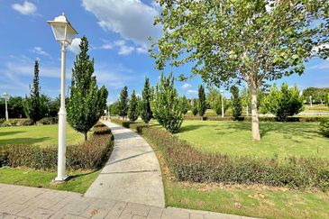 Tenderfields @ Eco Majestic