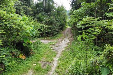 Tanah Pertanian 2.75 Ekar, Banglo 2 Tingkat dan Kolam Renang, Bukit Raya, Batu 11, Hulu Langat