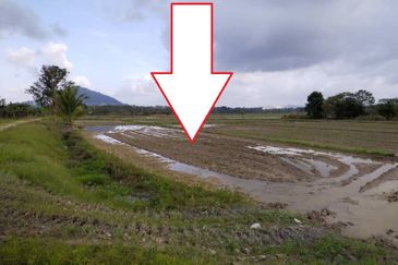 (593 Depa, Lot Hujung, Tepi Tali Air) Tanah Padi, Kg Dendang, Ketereh, Kelantan