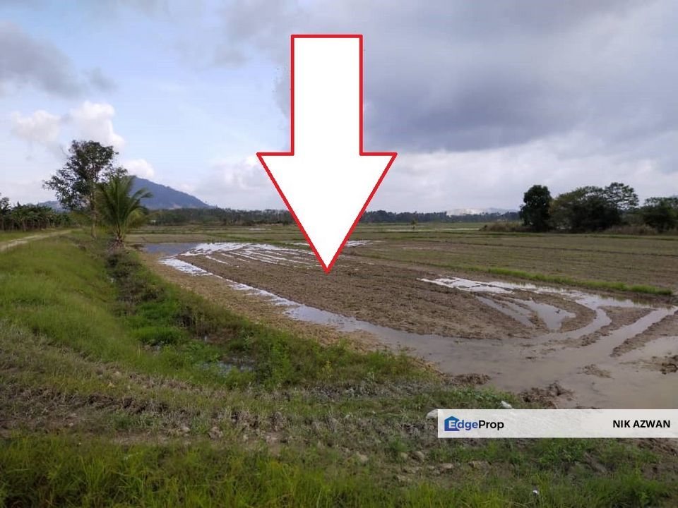 (593 Depa, Lot Hujung, Tepi Tali Air) Tanah Padi, Kg Dendang, Ketereh, Kelantan, Kelantan, Ketereh