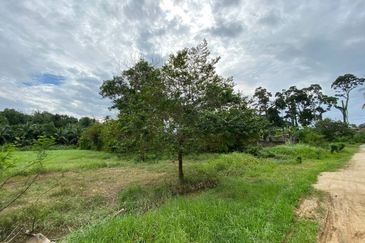 Tanah Pertanian 0.67 Ekar Kg Rambutan Rendang, Panji, Kota Bharu