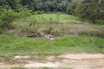 Tanah Pertanian 0.67 Ekar Kg Rambutan Rendang, Panji, Kota Bharu