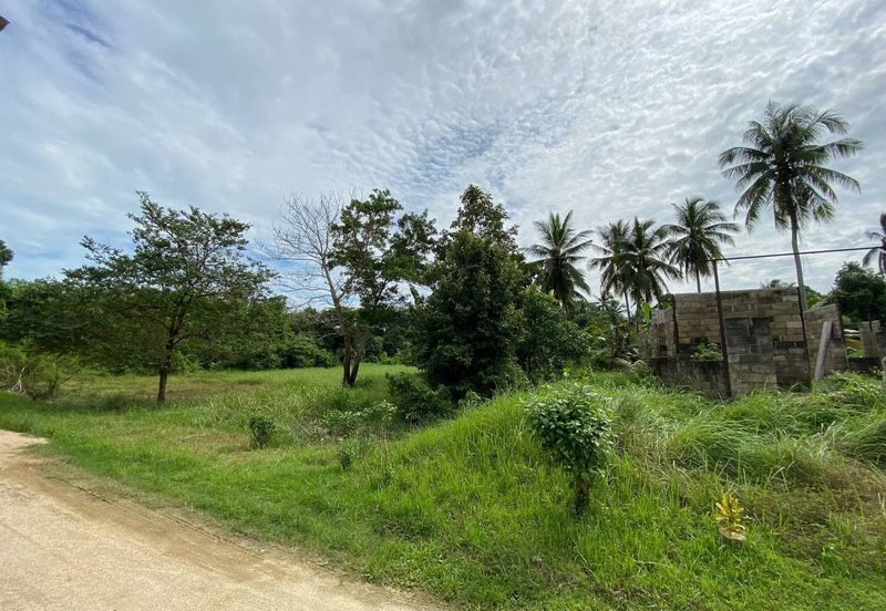Tanah Pertanian 0.67 Ekar Kg Rambutan Rendang, Panji, Kota Bharu