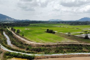 (593 Depa, Lot Hujung, Tepi Tali Air) Tanah Padi, Kg Dendang, Ketereh, Kelantan