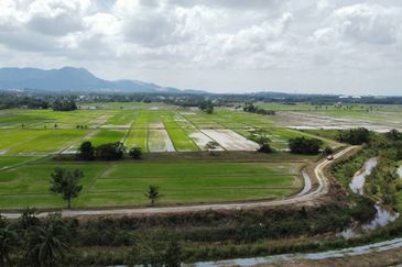 (593 Depa, Lot Hujung, Tepi Tali Air) Tanah Padi, Kg Dendang, Ketereh, Kelantan