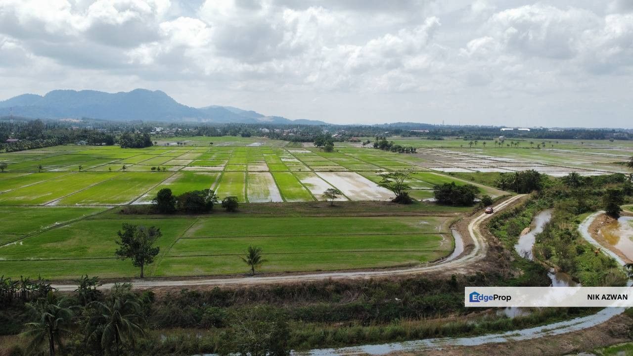 (593 Depa, Lot Hujung, Tepi Tali Air) Tanah Padi, Kg Dendang, Ketereh, Kelantan, Kelantan, Ketereh