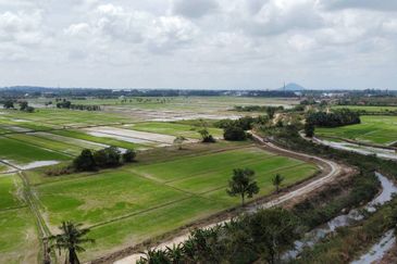 (593 Depa, Lot Hujung, Tepi Tali Air) Tanah Padi, Kg Dendang, Ketereh, Kelantan